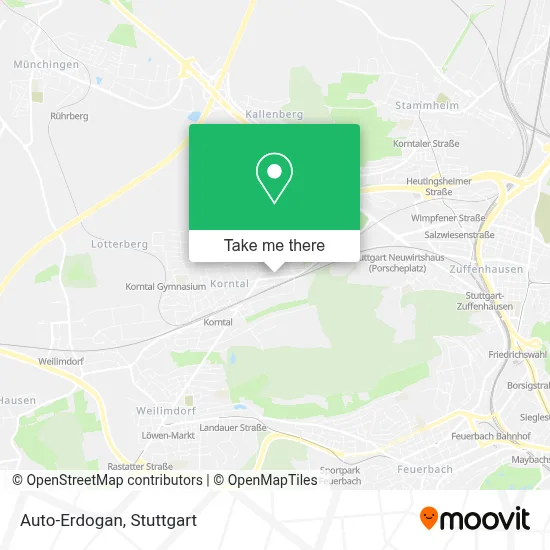 Auto-Erdogan map