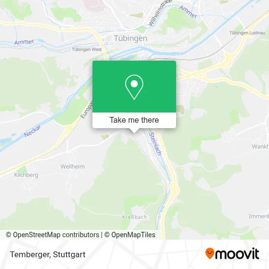 Temberger map
