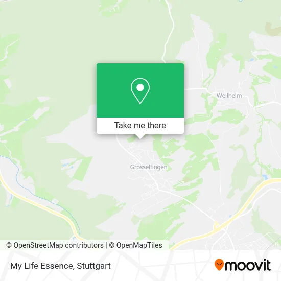 My Life Essence map