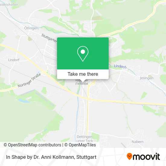 In Shape by Dr. Anni Kollmann map