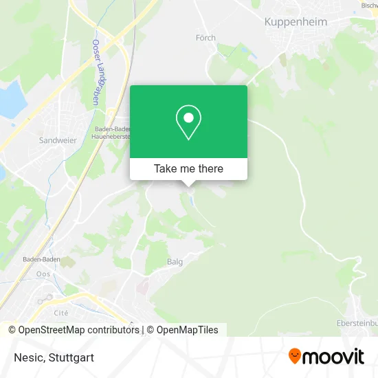 Nesic map