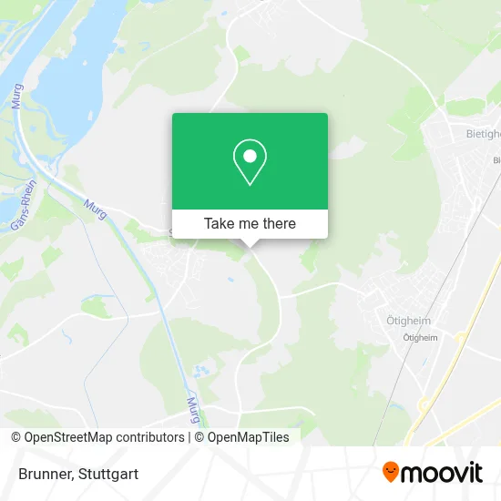 Brunner map