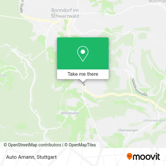 Auto Amann map