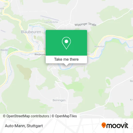 Auto-Mann map