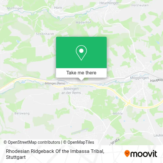 Rhodesian Ridgeback Of the Imbassa Tribal map