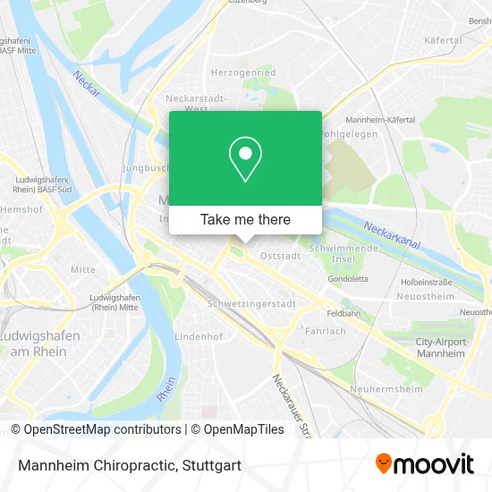 Mannheim Chiropractic map