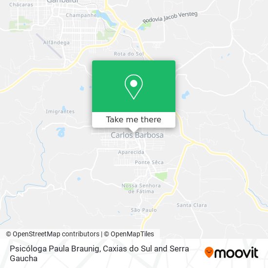 Psicóloga Paula Braunig map