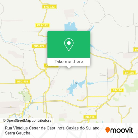 Rua Vinícius Cesar de Castilhos map