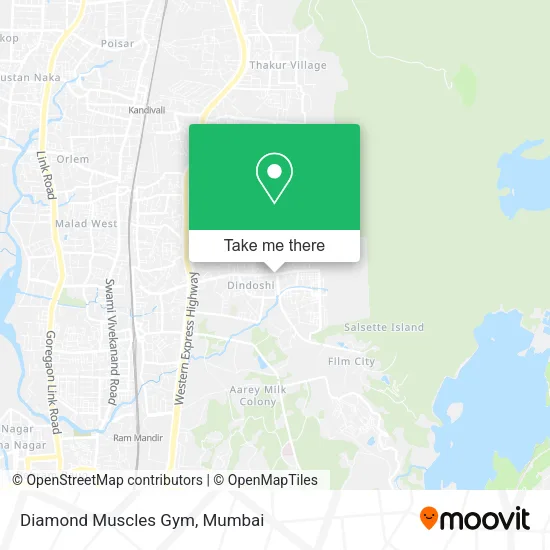 Diamond Muscles Gym map