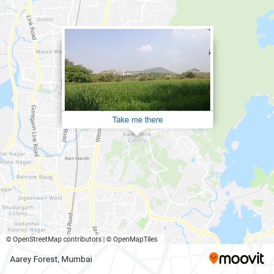 Aarey Forest map