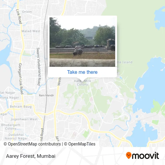 Aarey Forest map