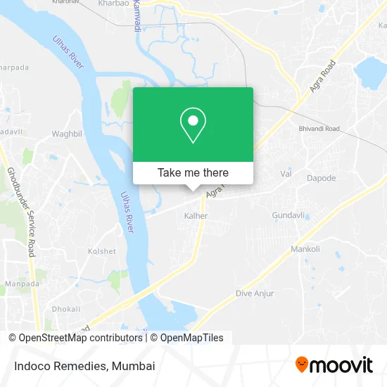 Indoco Remedies map