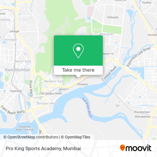Pro King Sports Academy map