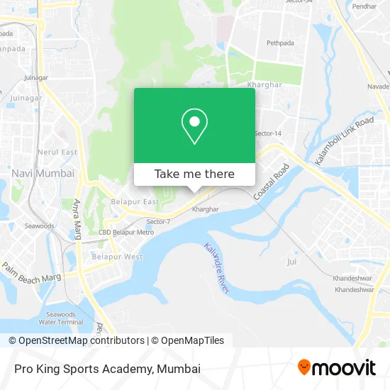 Pro King Sports Academy map