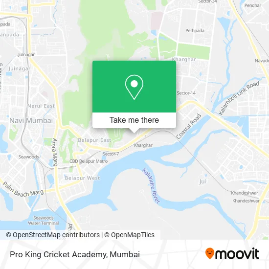 Pro King Cricket Academy map