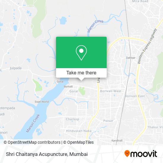 Shri Chaitanya Acupuncture map