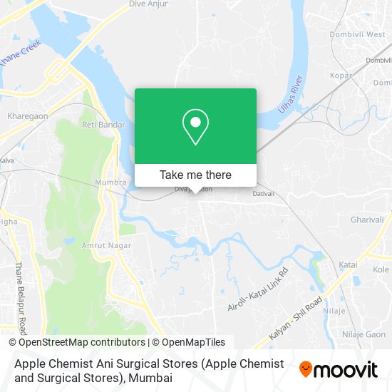 Apple Chemist Ani Surgical Stores map