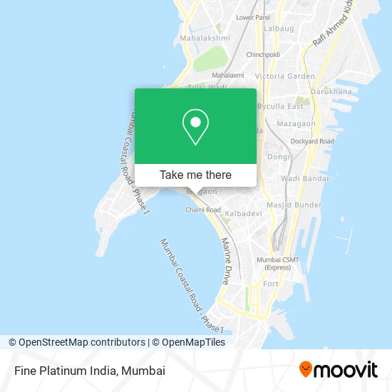 Fine Platinum India map