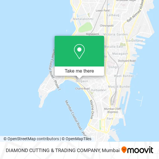 DIAMOND CUTTING & TRADING COMPANY map