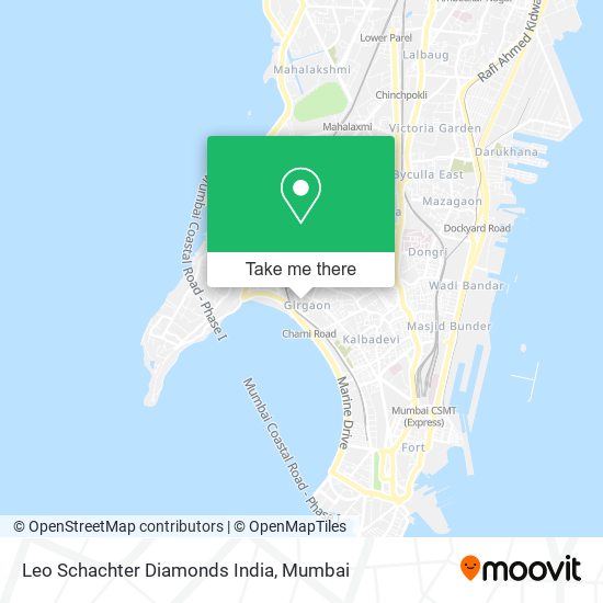 Leo Schachter Diamonds India map