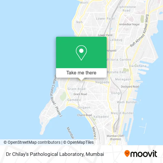 Dr Chilay's Pathological Laboratory map