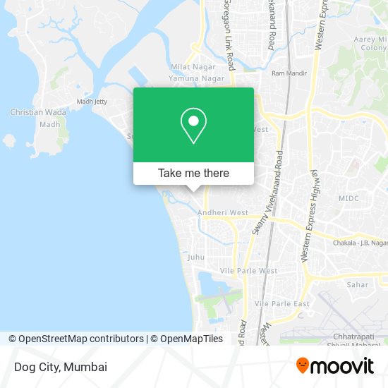 Dog City map