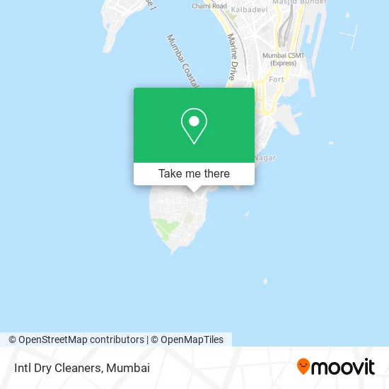 Intl Dry Cleaners map