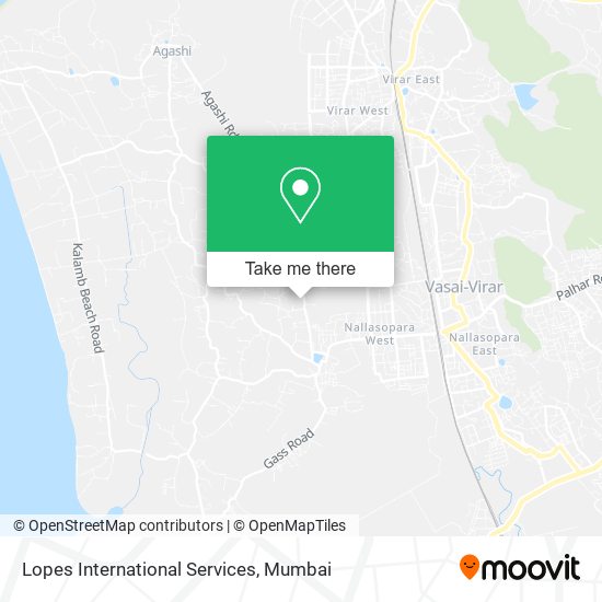 Lopes International Services map