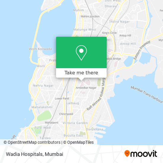 Wadia Hospitals map