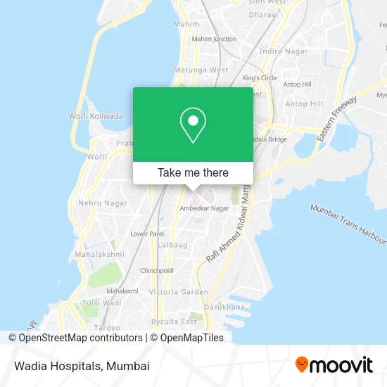 Wadia Hospitals map