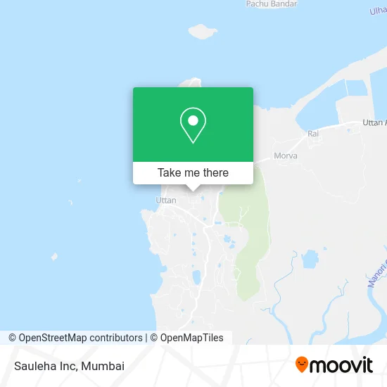 Sauleha Inc map