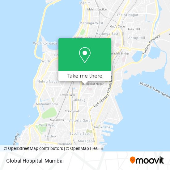 Global Hospital map