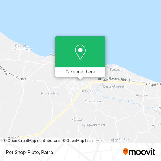 Pet Shop Pluto map