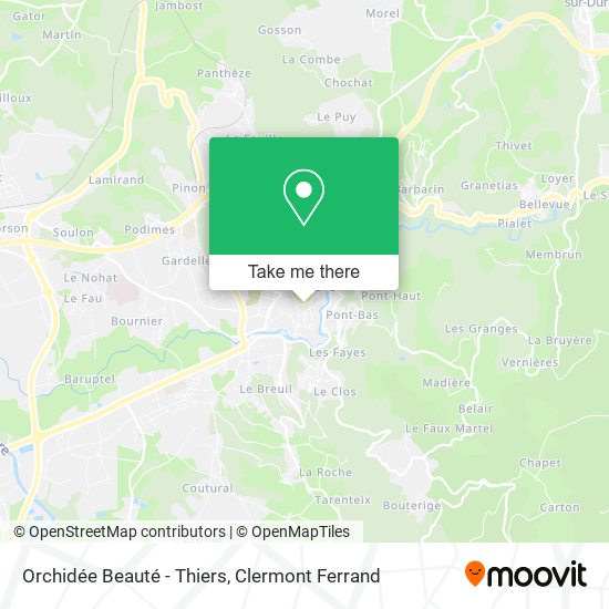 Orchidée Beauté - Thiers map