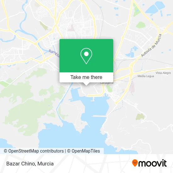 Bazar Chino map