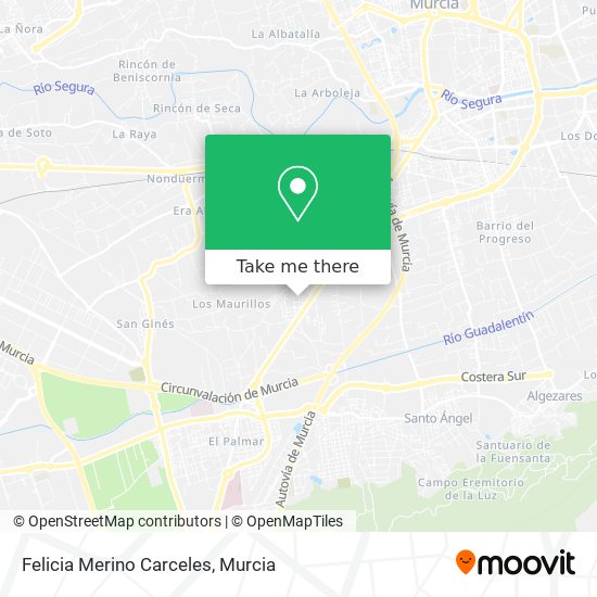 Felicia Merino Carceles map