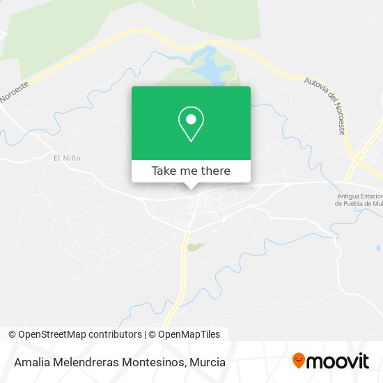Amalia Melendreras Montesinos map
