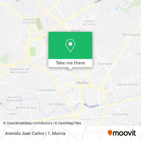 Avenida Juan Carlos I 1 map
