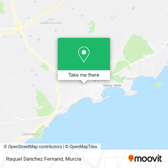 Raquel Sanchez Fernand map