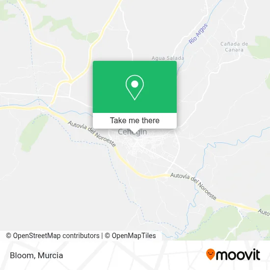 Bloom map