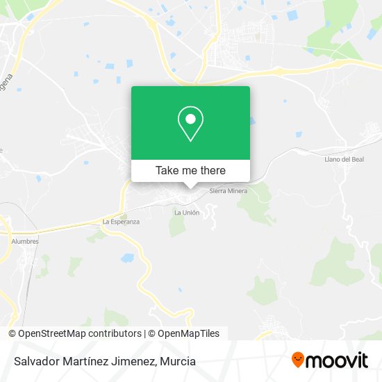 Salvador Martínez Jimenez map