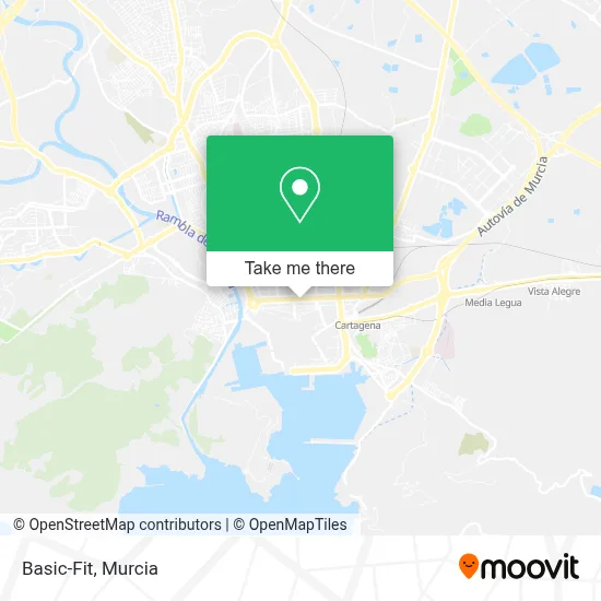 Basic-Fit map