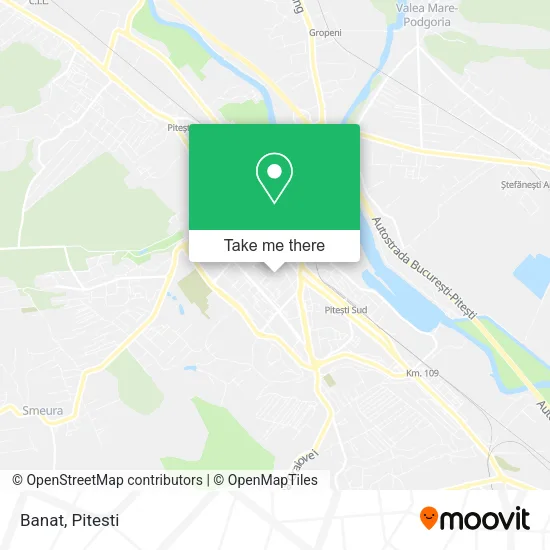 Banat map