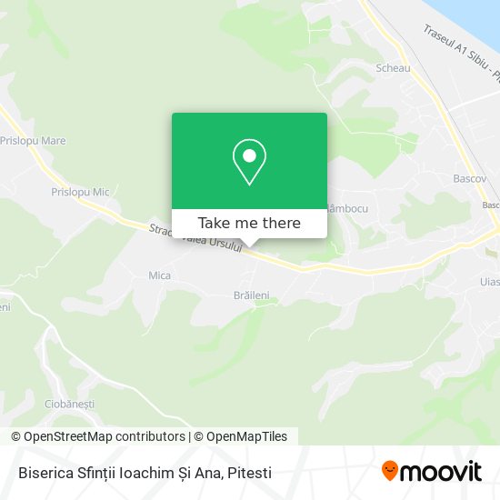 Biserica Sfinții Ioachim Și Ana map