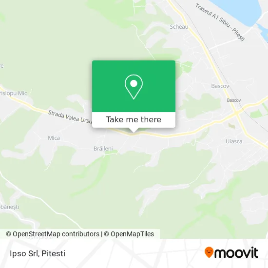 Ipso Srl map