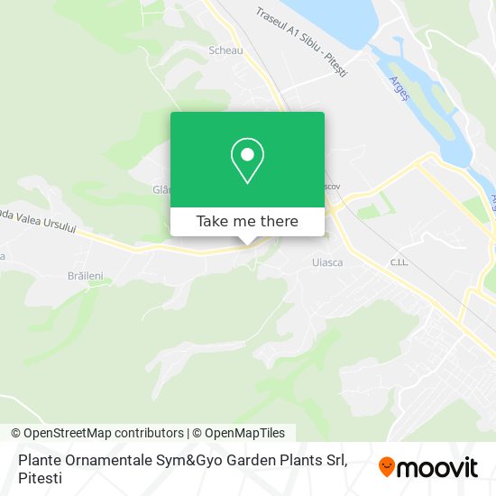 Plante Ornamentale Sym&Gyo Garden Plants Srl map