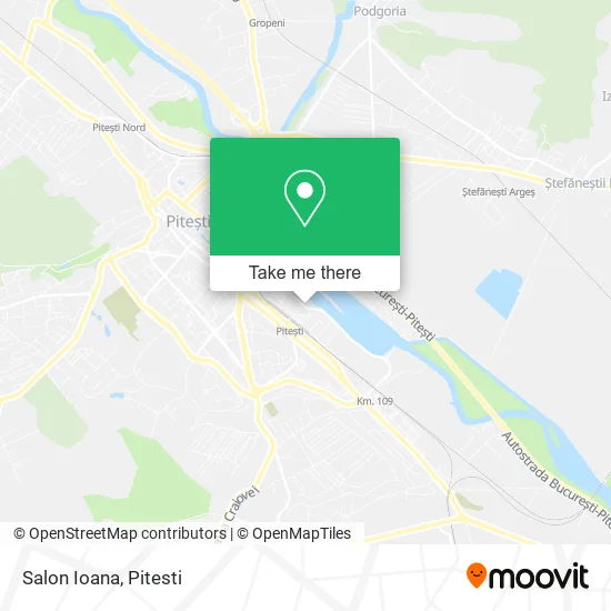 Salon Ioana map