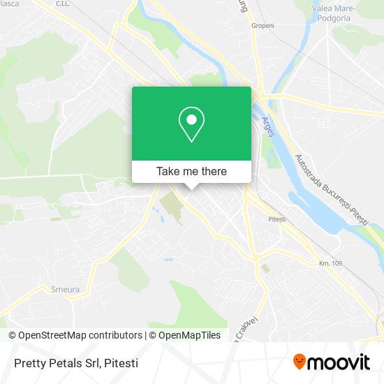 Pretty Petals Srl map