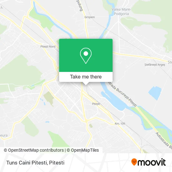 Tuns Caini Pitesti map