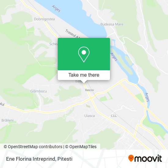 Ene Florina Intreprind map